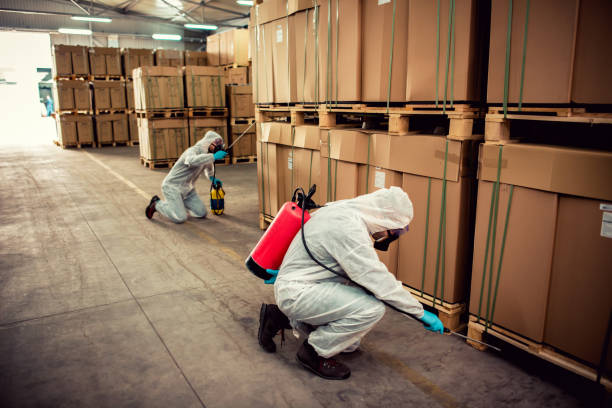 Best Pest Prevention Services  in Castroville, TX