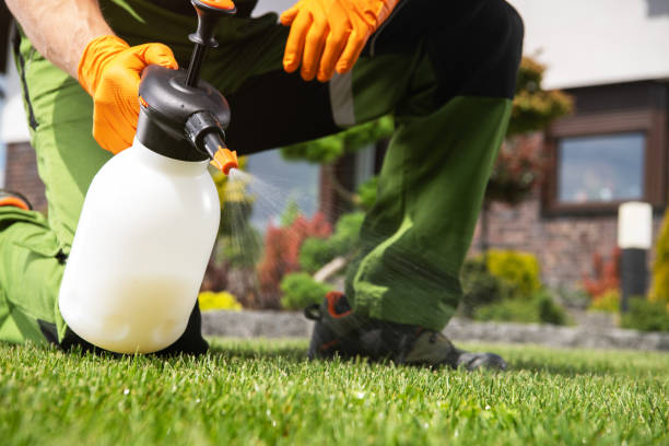 Best Commercial Pest Control Services  in Castroville, TX