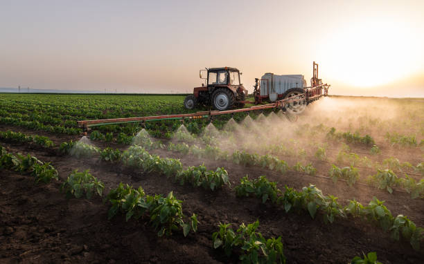 Best Mosquito Control Services  in Castroville, TX