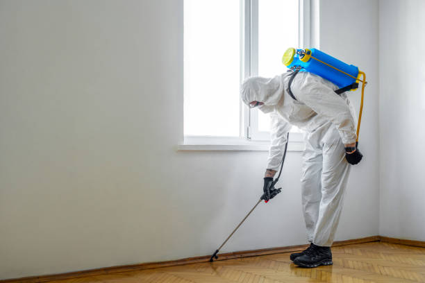 Professional Pest Control in Castroville, TX