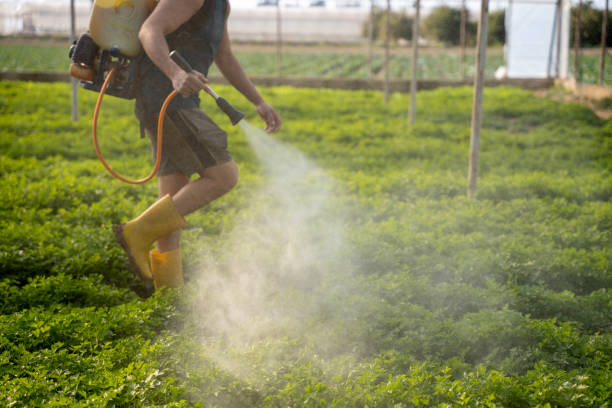 Best Pest Control Treatment  in Castroville, TX