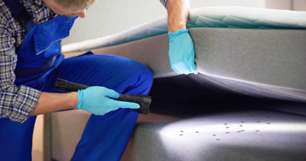  Castroville, TX Pest Control Pros
