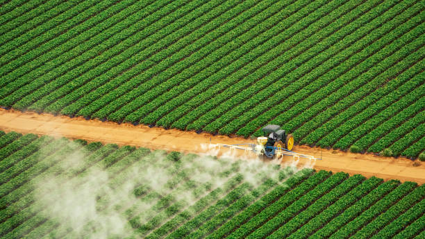 Best Pest Control for Homes  in Castroville, TX