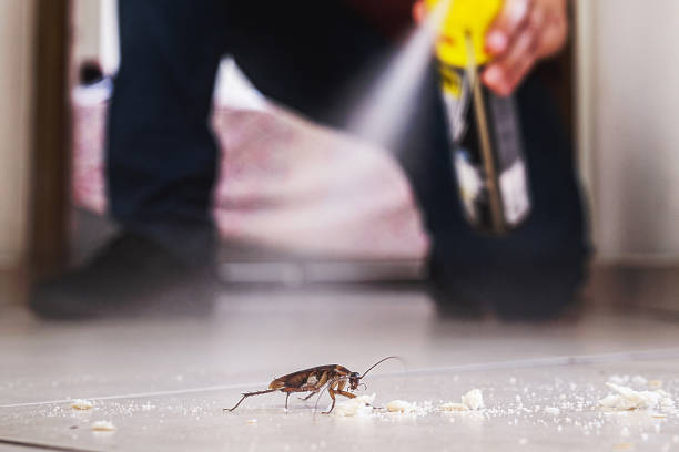 Best Exterminator Services  in Castroville, TX